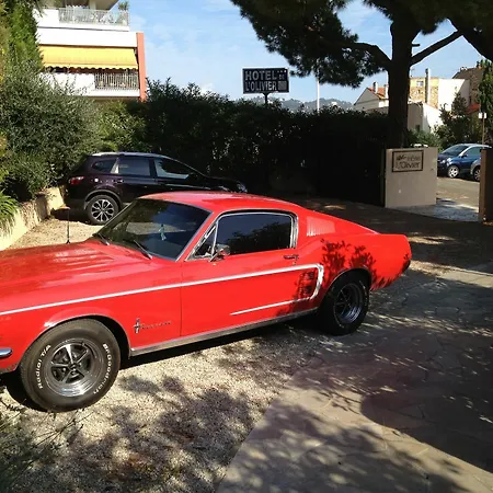 L'olivier - Piscine & Parking 3*