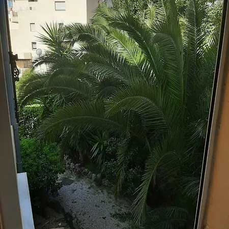 奥利维尔酒店